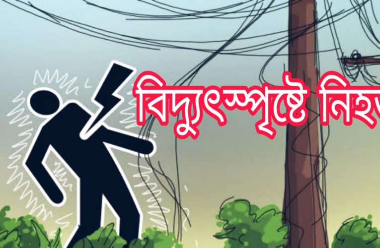 ফরিদগঞ্জের সানকিসাইরে  বিদ্যুৎ স্পৃষ্ট হয়ে মাদ্রাসা ছাত্রের মৃত্যু